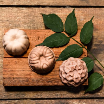Bases Veganas – Equilibra e Ilumina tu Piel de Forma Natural