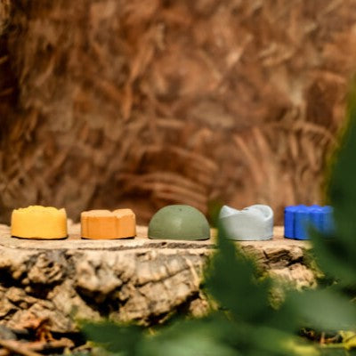 Sombras Naturales sustentable