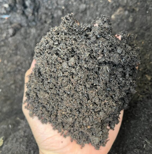 Compost de Champiñón