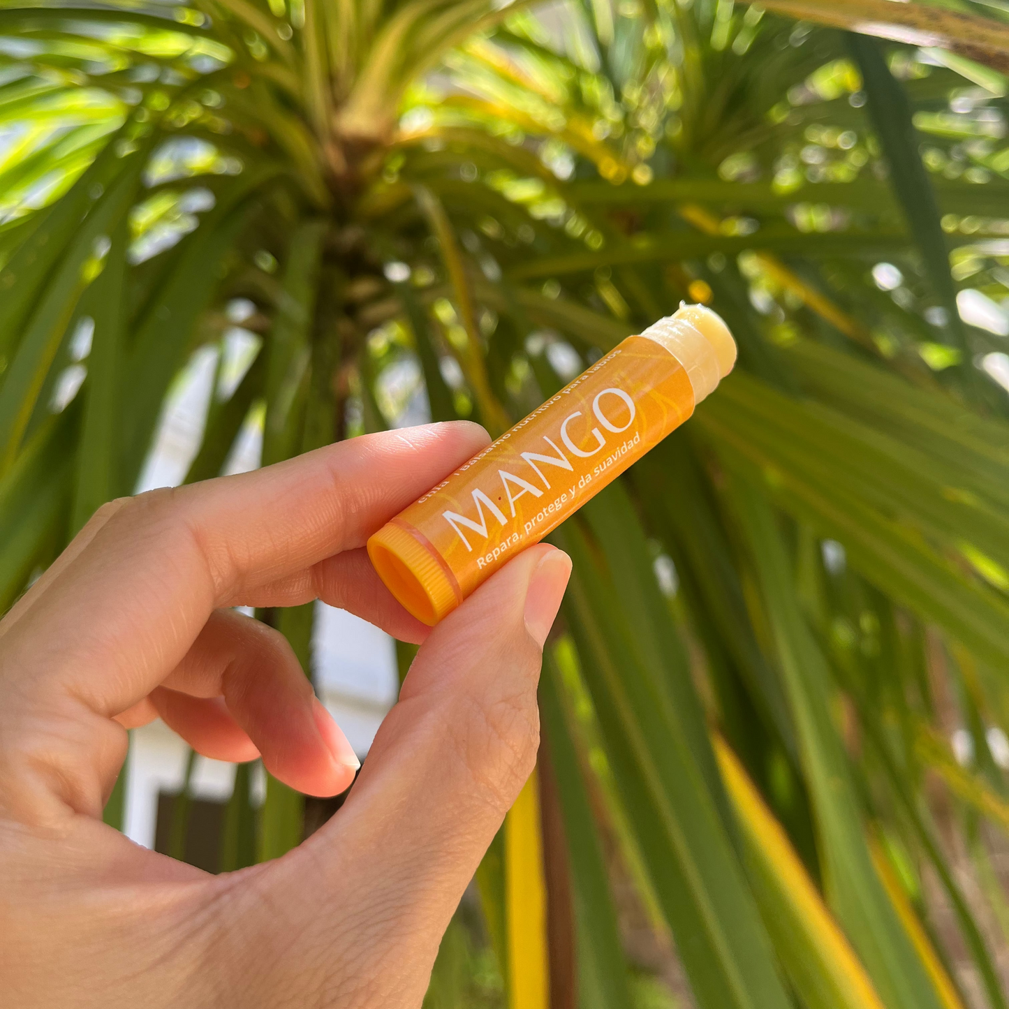 Bálsamo Mango