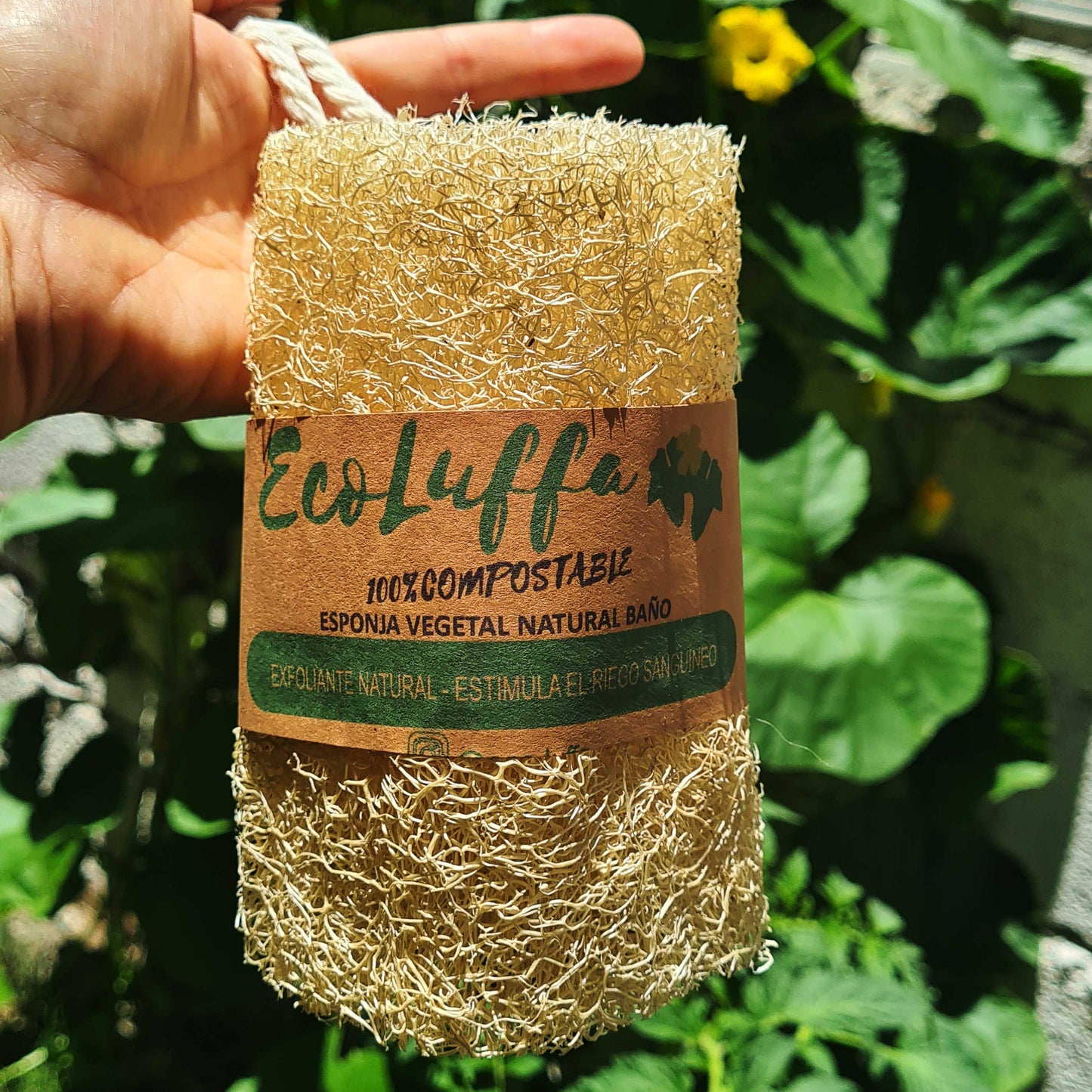 Esponja para ducha