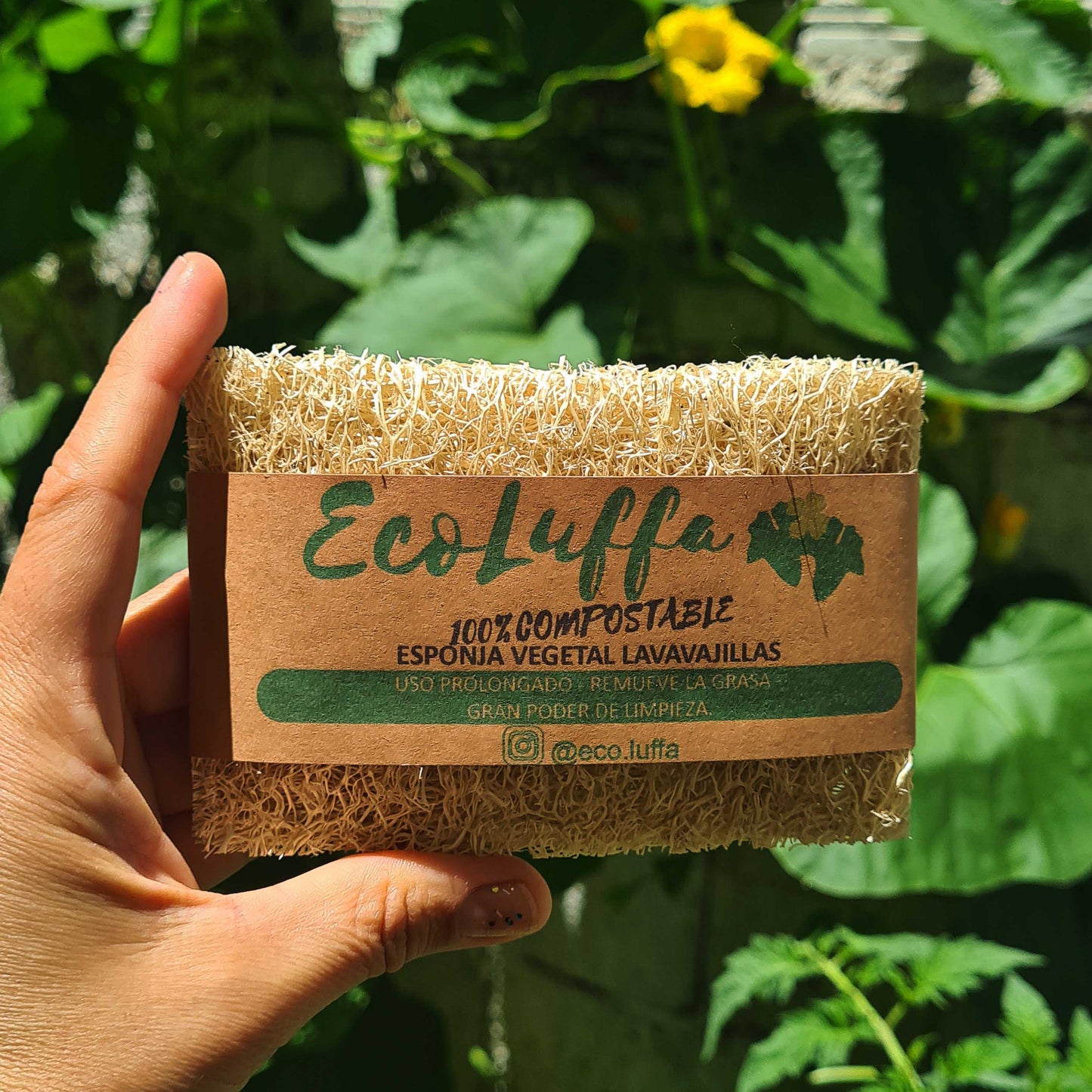 Esponja vegetal lavavajillas