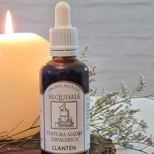 Tintura madre sustentable