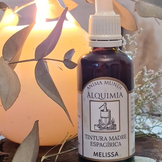 Tintura madre sustentable