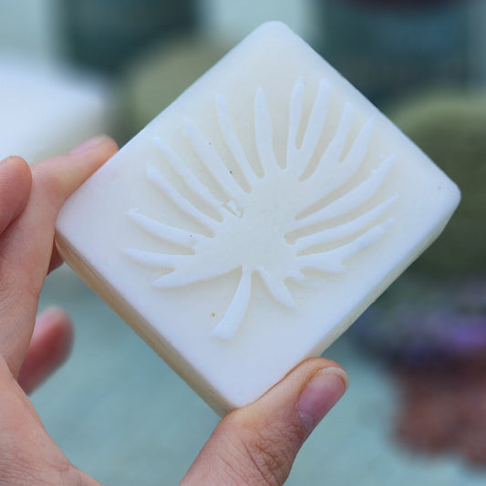 Acondicionador sólido