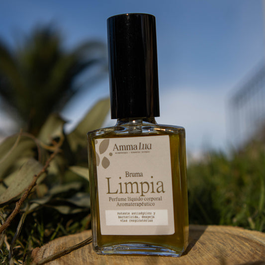 Bruma Limpia