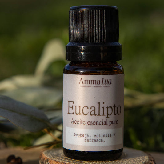 Aceite Esencial Puro Eucalipto