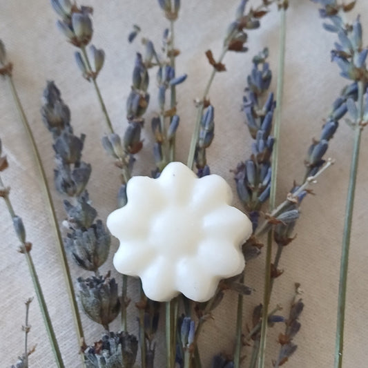 Perfume Sólido