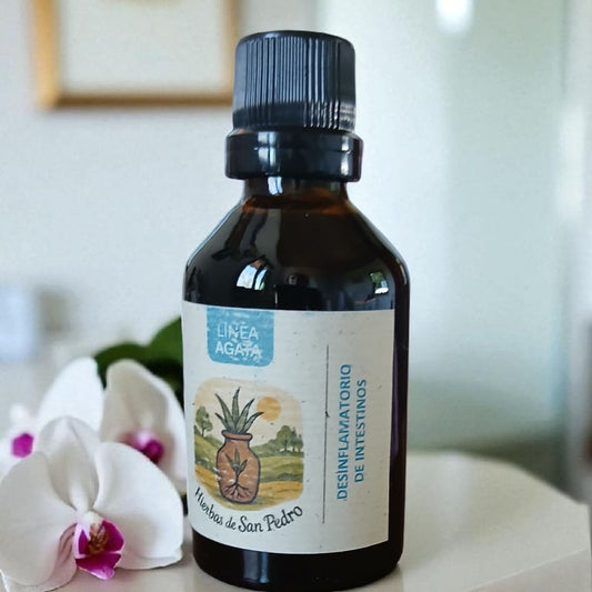 Desinflamatorio Intestinos