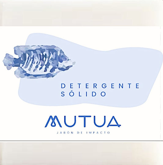 JABÓN DETERGENTE SOLIDO