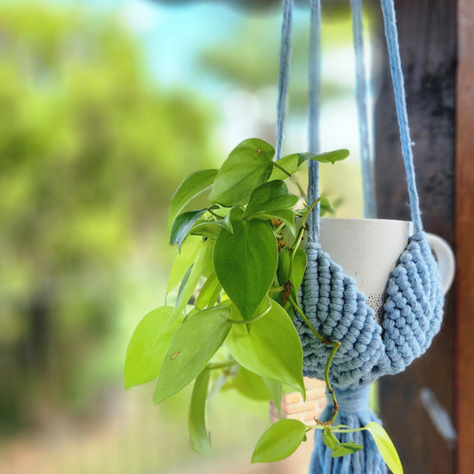 COLGANTE PARA PLANTAS DE MACRAME 4 PETALOS
